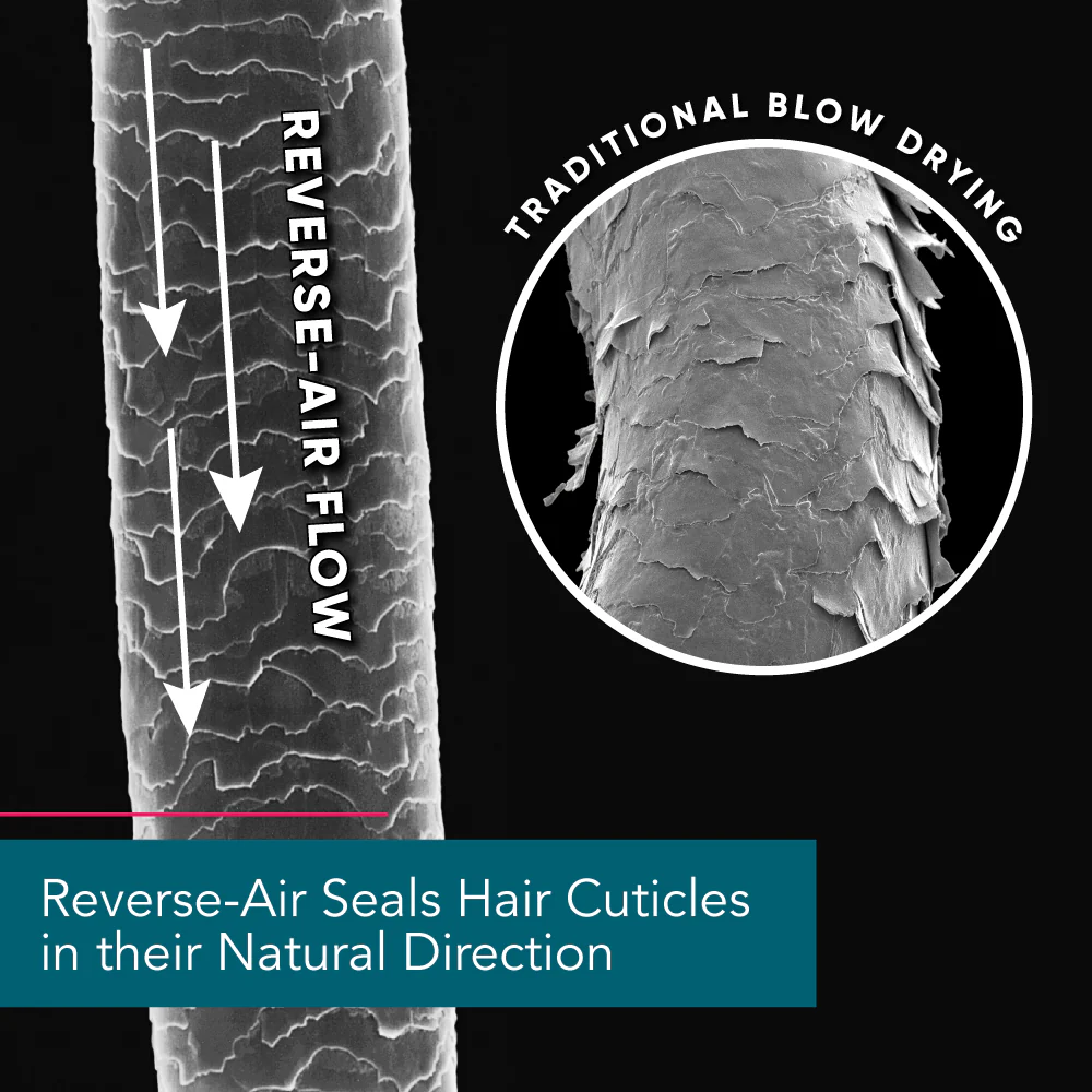 New Reverse-Air Dryer - Image 6