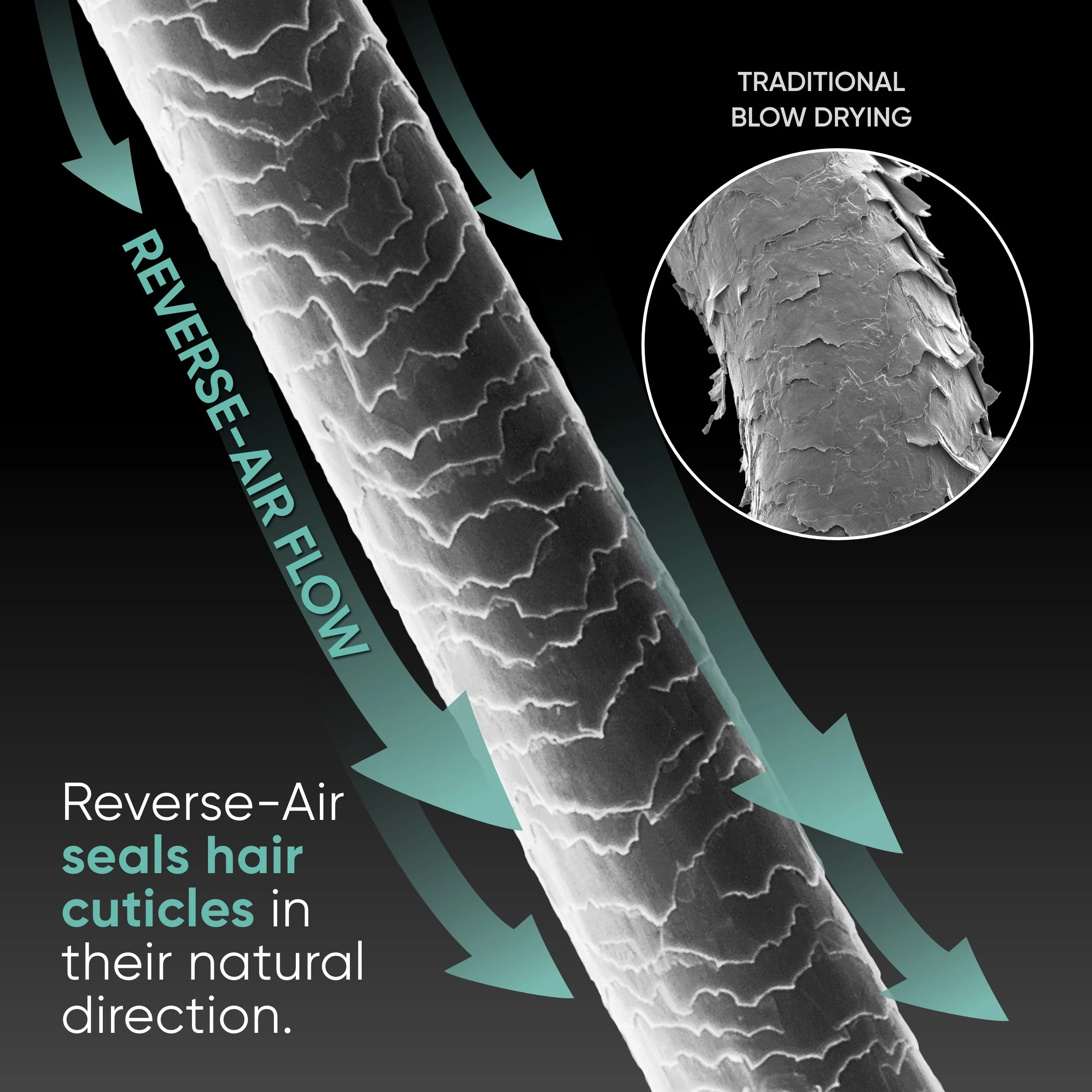 RevAir For Curly Hair - Image 11